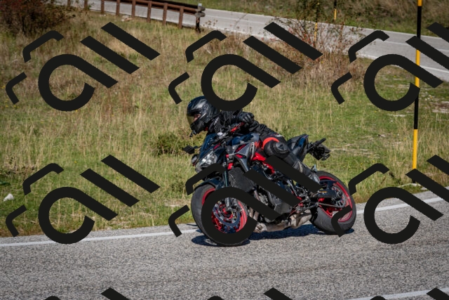 202510041252-DSC_7891_c2