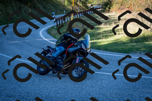 202510041254-DSC_7892_c2