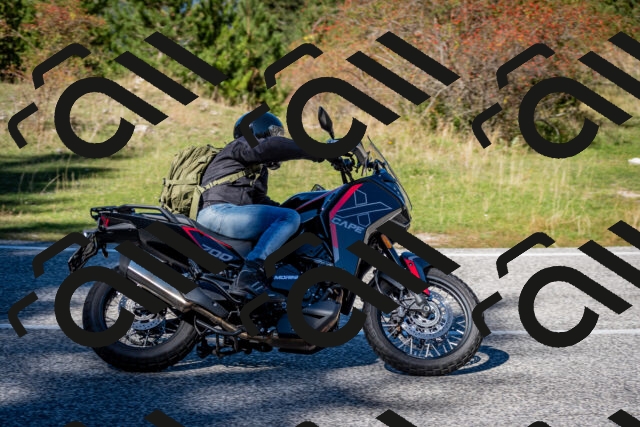 202510041254-DSC_7894_c2