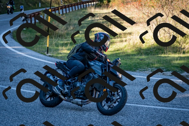 202510041254-DSC_7895_c2