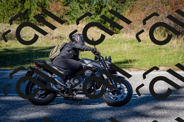 202510041254-DSC_7896_c2