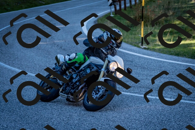 202510041254-DSC_7898_c2