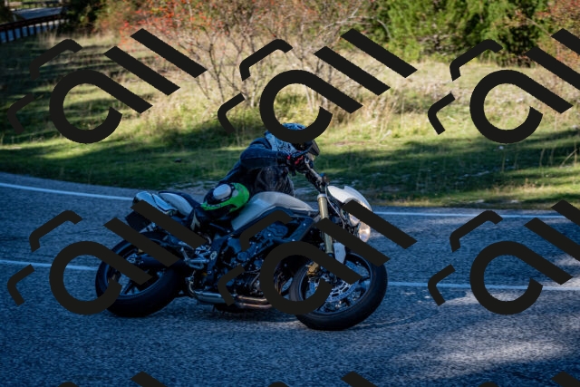 202510041254-DSC_7899_c2