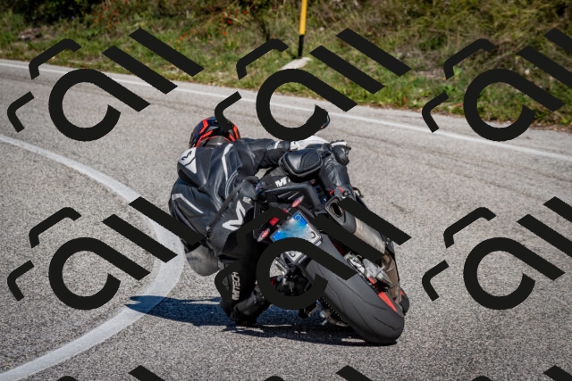 202510041254-DSC_7904_c2