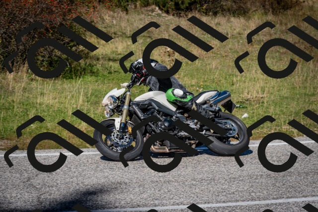 202510041255-DSC_7907_c2