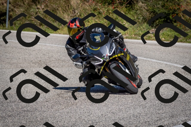 202510041255-DSC_7908_c2