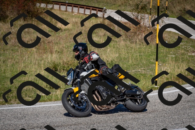 202510041256-DSC_7910_c2