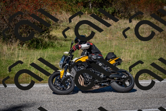 202510041256-DSC_7911_c2