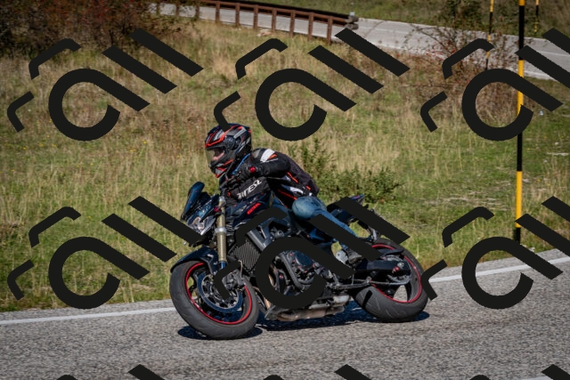 202510041256-DSC_7912_c2