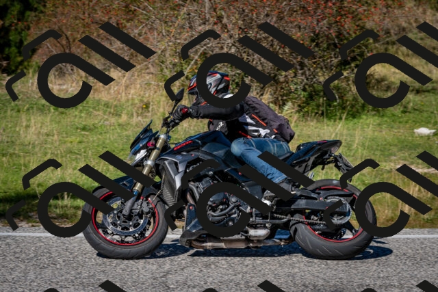 202510041256-DSC_7913_c2