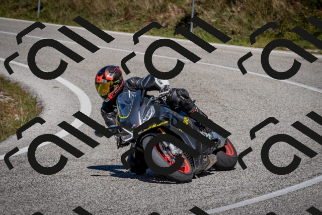 202510041257-DSC_7915_c2