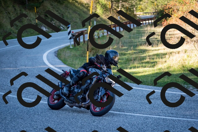 202510041257-DSC_7916_c2