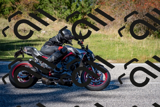 202510041257-DSC_7917_c2