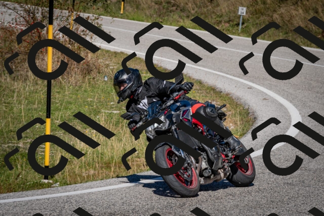 202510041258-DSC_7921_c2