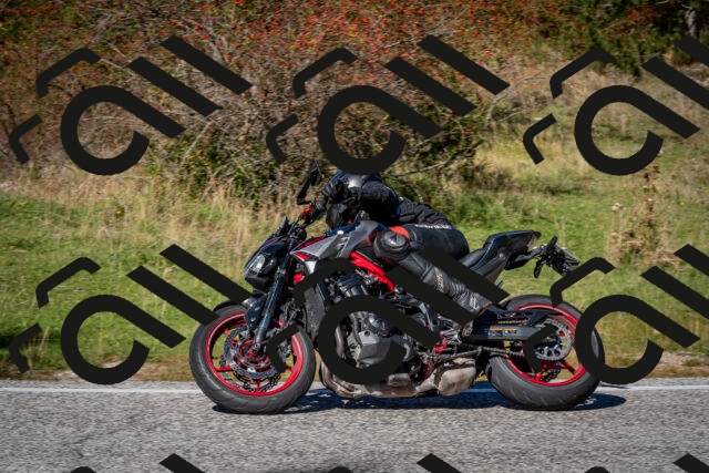 202510041258-DSC_7922_c2