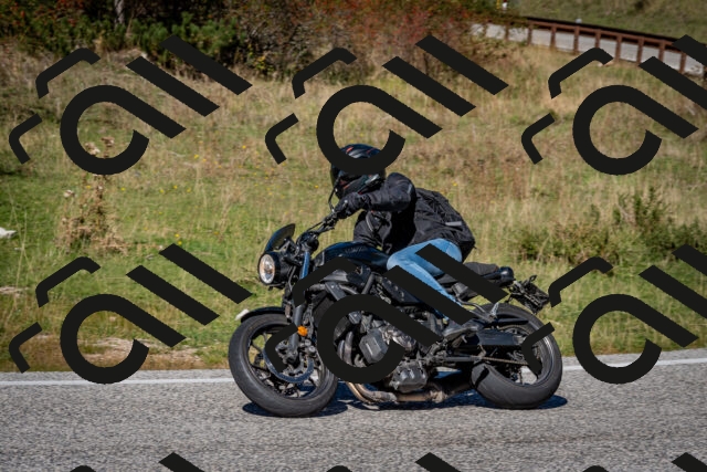 202510041259-DSC_7926_c2