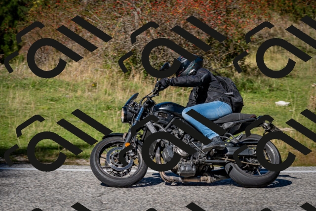 202510041259-DSC_7927_c2