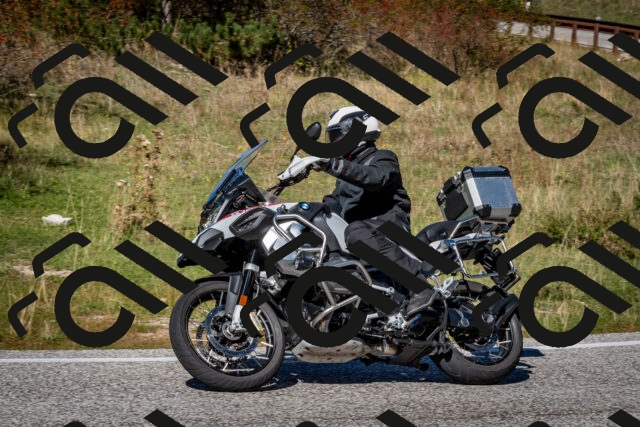 202510041259-DSC_7929_c2