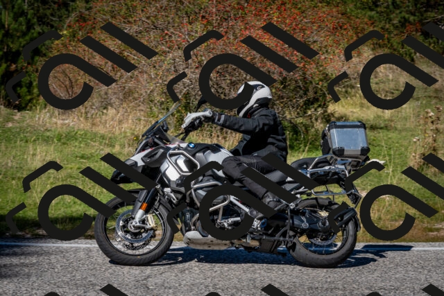 202510041259-DSC_7930_c2