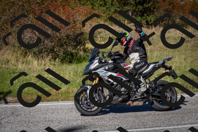 202510041300-DSC_7941_c2