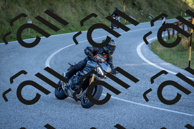 202510041301-DSC_7942_c2