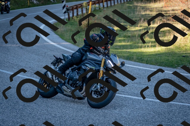 202510041301-DSC_7943_c2