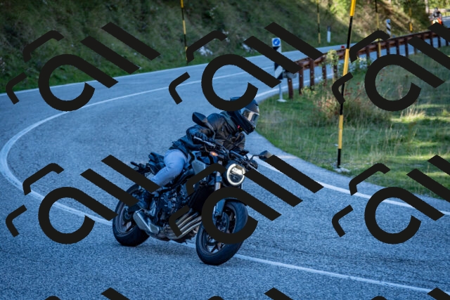 202510041301-DSC_7945_c2