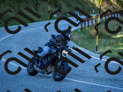 202510041301-DSC_7945_c2