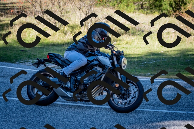 202510041301-DSC_7947_c2