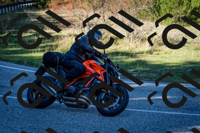 202510041301-DSC_7948_c2