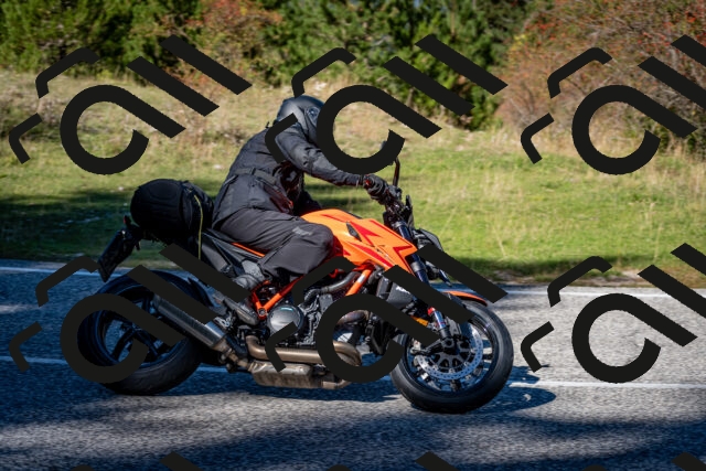 202510041301-DSC_7949_c2