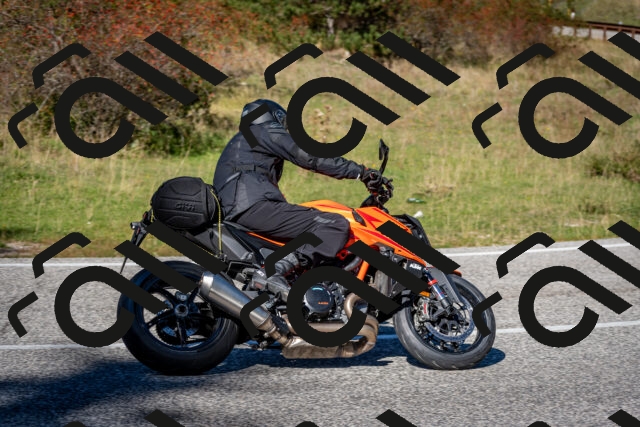 202510041301-DSC_7950_c2