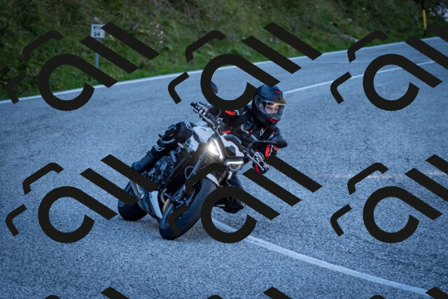 202510041301-DSC_7951_c2