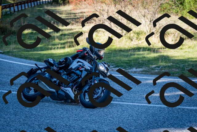 202510041301-DSC_7952_c2