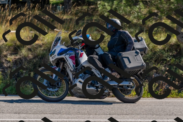 202510041033-DSC_6184_c4_