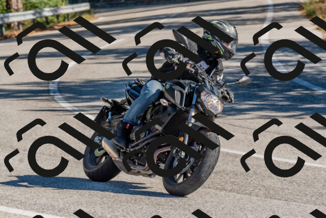 202510041036-DSC_6191_c4_