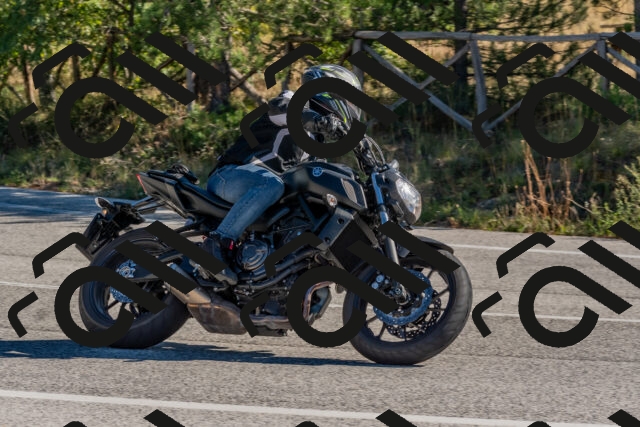 202510041036-DSC_6192_c4_