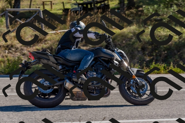 202510041036-DSC_6193_c4_