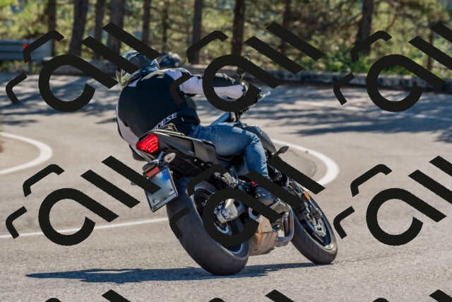 202510041036-DSC_6194_c4_