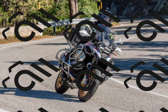 202510041036-DSC_6196_c4_