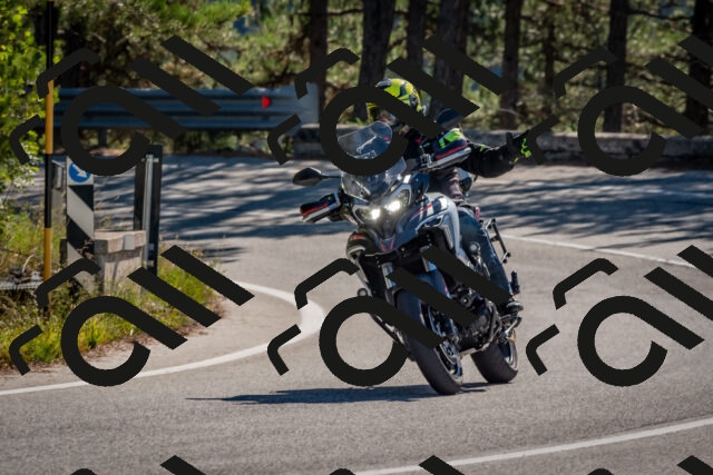 202510041048-DSC_6205_c4_