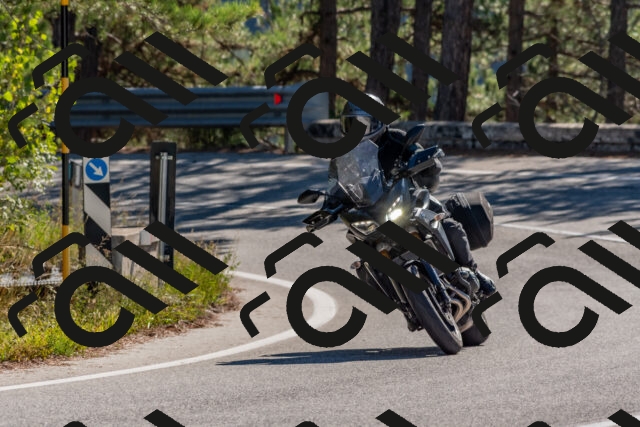 202510041054-DSC_6210_c4_