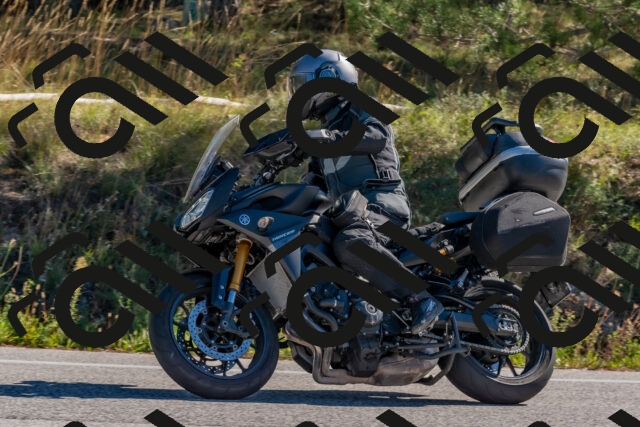 202510041054-DSC_6212_c4_