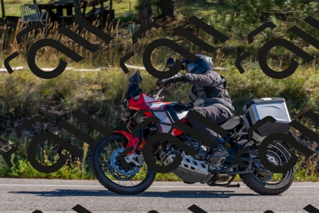 202510041055-DSC_6217_c4_