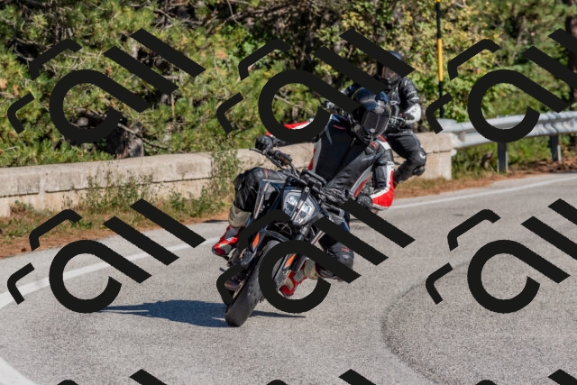 202510041114-DSC_6233_c4_