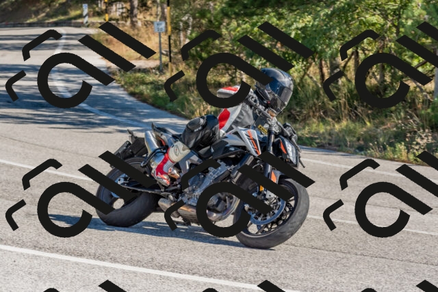 202510041114-DSC_6236_c4_