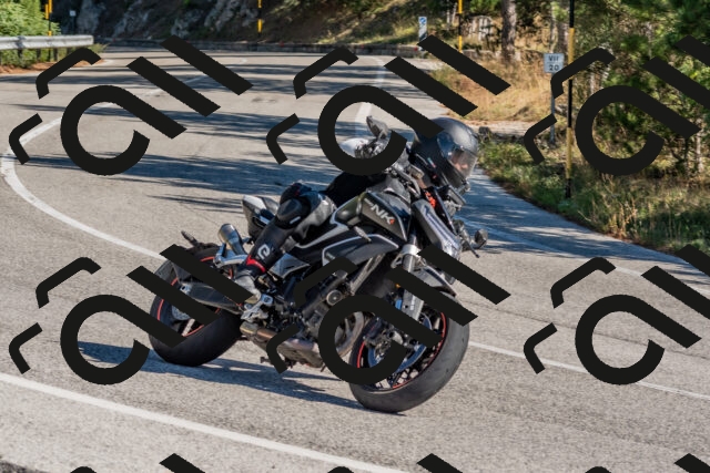 202510041114-DSC_6238_c4_