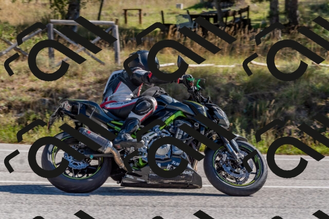 202510041114-DSC_6242_c4_