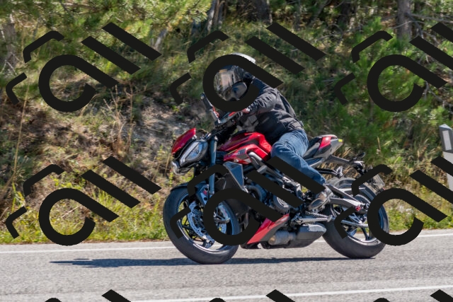 202510041117-DSC_6254_c4_