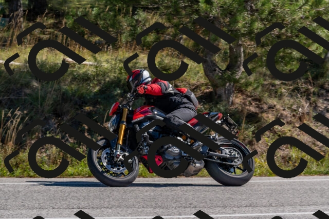 202510041140-DSC_6277_c4_